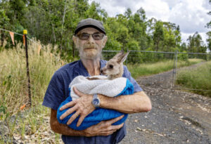 Home wreckers, native wildlife losers in race for more housing