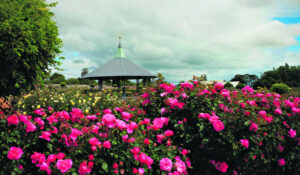 A self-drive tour through our smallest state