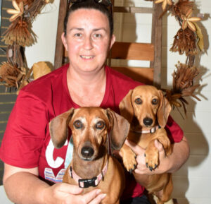 Daisy the dachshund defies death after snake bite