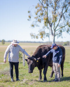 The story behind Australia’s best steak