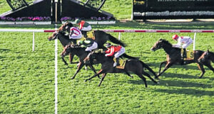 Winning horse loves competition