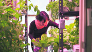 Indoor farms to help city dwellers grow