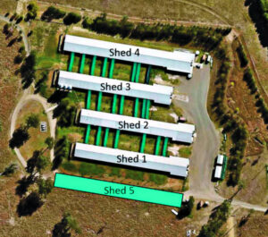 ‘Minor change’ bid for extra shed on poultry farm outside Peak Crossing