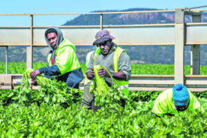 Visa change, wine tariffs and pocket change purchases