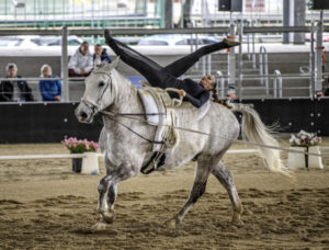 Boonah indoor venue’s ‘international’ appeal