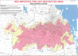 ‘Toxic’: Claims levelled against fire ant program in Parliament