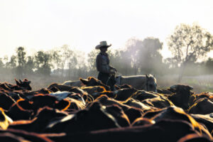 Farmers ‘should not be exempt’ from net-zero carbon: Grattan report