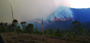 Grant wins for local rural firies and clubs