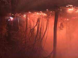 Head Road closed as fire burns on several fronts