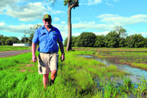 How much water can Moogerah irrigators expect and what will that mean?