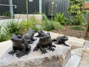 Cathy Anderson creates native treasures in bronze for Boonah