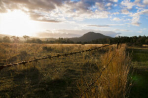 $1m fire fund for Scenic Rim