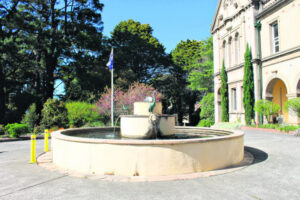 Shillam’s Brisbane – Felicity Smith