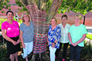 Streets dressed for the Christmas season