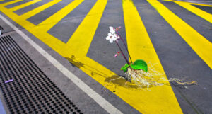 Finalists announced in prestigious regional art awards