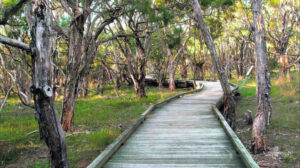 Could a bike trail make the region a SEQ outdoor hotspot?