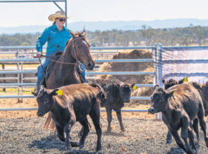 Expo debut deemed a success by organisers