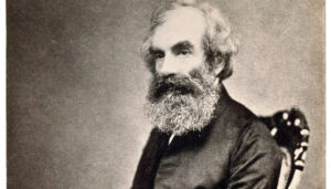 The Beauty of Life – A Delicate Man