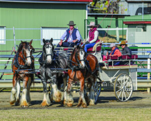 Boonah business boom call for more to get involved