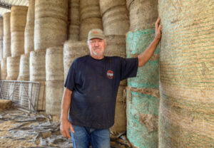 La Nina’s wet weather woes frustrates hay growers