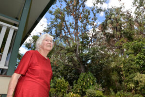 Radford widow’s ‘nightmare’ as thousands of bats descend on home