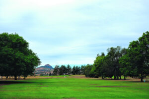 Keeping the greenest place in town green