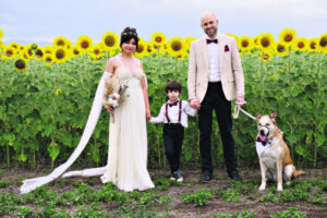 Harry Potter, sunflowers and a wedding