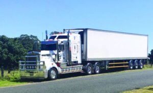 ‘Seriously panicking’: trucks could ‘grind to halt’ unless AdBlue crisis resolved