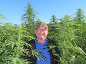 Kalfresh test the potential of hemp