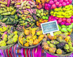 Guarding the future of the staple potato