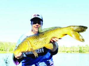 Pest fish fuel fisher fury