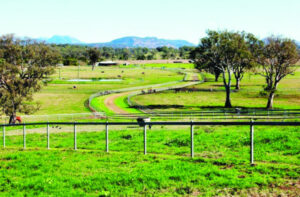 Horse farm in the lush Christmas Creek valley