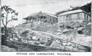 When the wolf was king