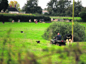 Consumer watchdog says quad bike safety a priority, new requirements imminent