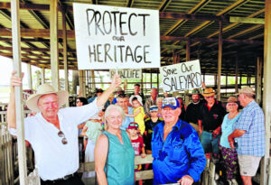 Protest kick-starts latest ‘save the saleyards’ campaign