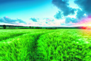 Lucrative links, project help for ag exporters