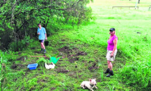 Thousands of trees planted by Croftby family