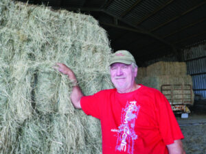 El Nino confirmed farmers prepare