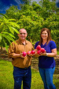 Deb’s gold and a standout in the mango industry