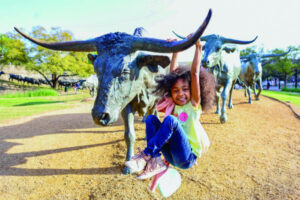 Agricultural shows here, there … everywhere