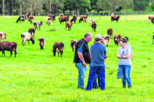 With book and social enterprise, Gatton researcher to support farmworkers
