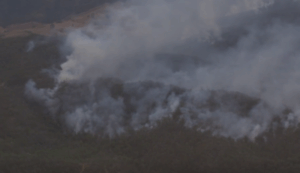 Firefighters secure Kooralbyn, but Scenic Rim bushfire to burn for days