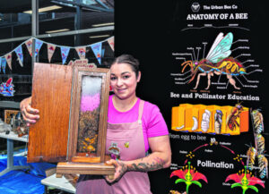 Bee education a Scenic Rim celebration of science