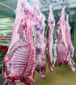 Grant to modernise red meat sector prices and market information