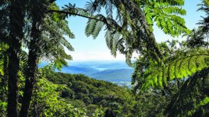 Council funds partnership with Destination Scenic Rim