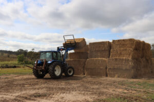 Farming, fodder and the big dry