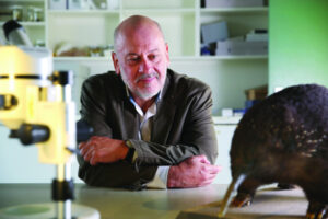 New research reveals the origins of our unique monotremes