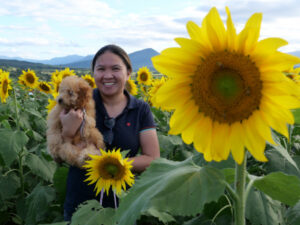 ‘Big and bright flowers’ a win for farming family’s agri tourism venture