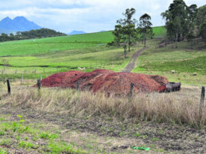 Trees fall to power line demand