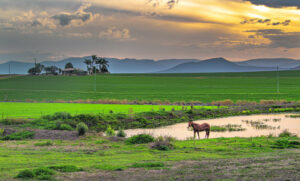 Council moves to change Scenic Rim’s urban footprint